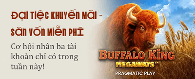 Win Big with Bet8s Casino